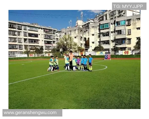 足球之路的收获与成长总结分享与反思