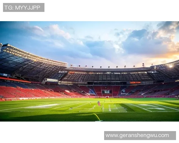 足球前锋的魅力与挑战如何在绿茵场上书写传奇人生